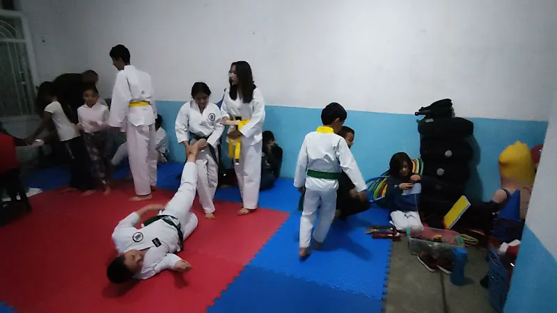 ALED Taekwondo | MX
