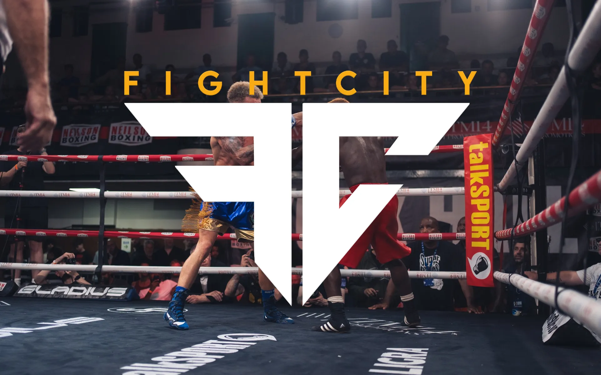 Alpha Amateur Boxing Club