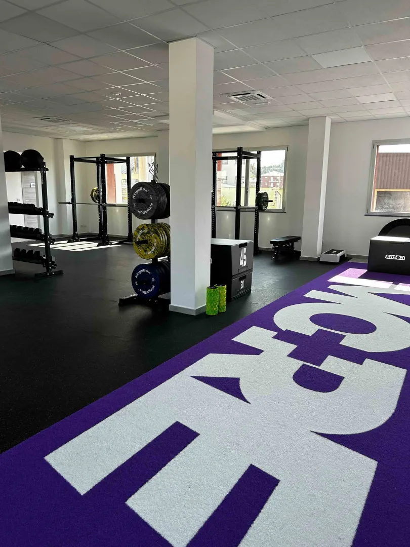 MORE Movement + Rehabilitation