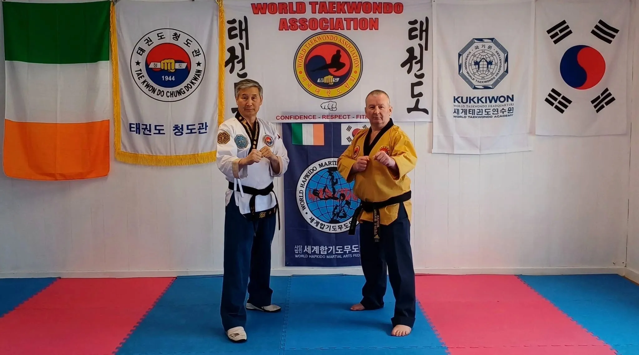 World Taekwondo Association / World Taekwondo Ireland