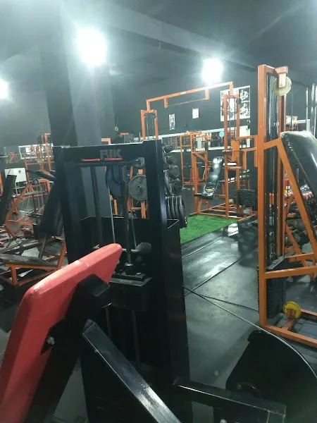 Saúde Vital Academia