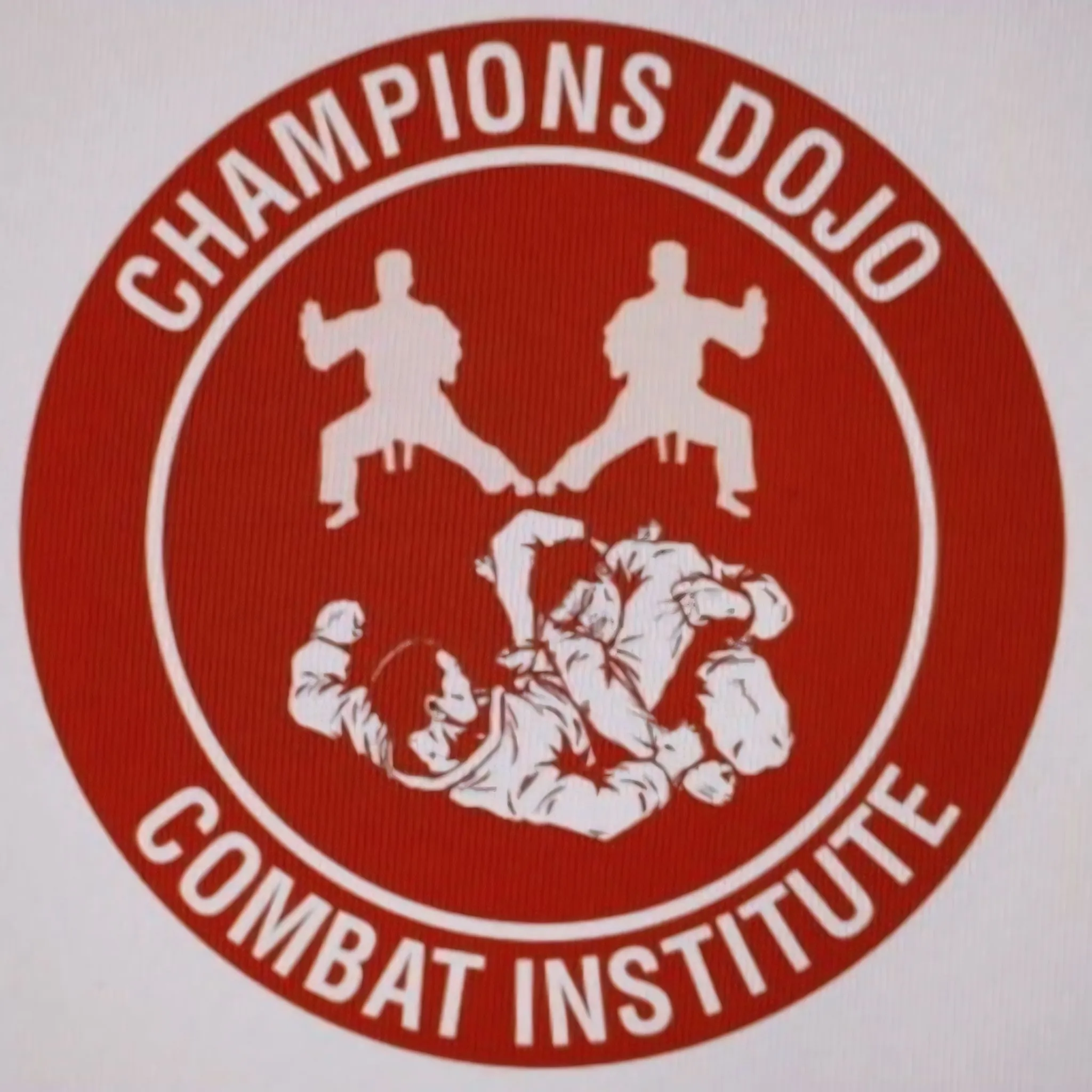 Champions dojo vansh yoga & meditation Centre (LEARN MMA)