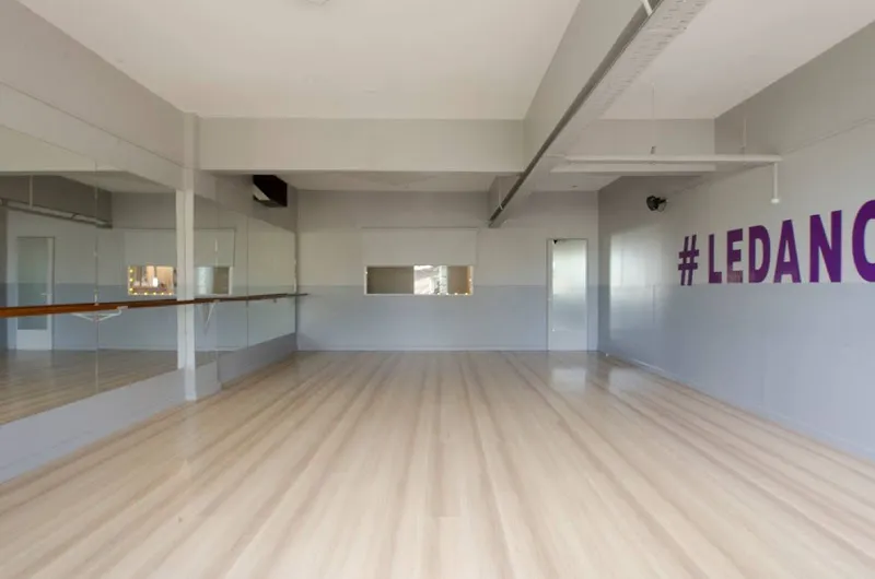 Le Dance Arte Escuela