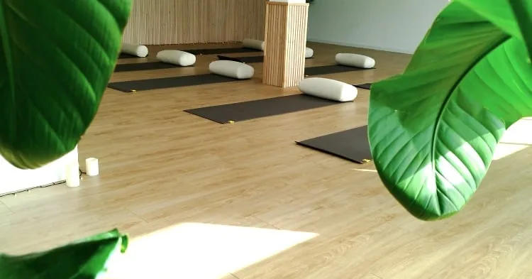 Ninaya Studio