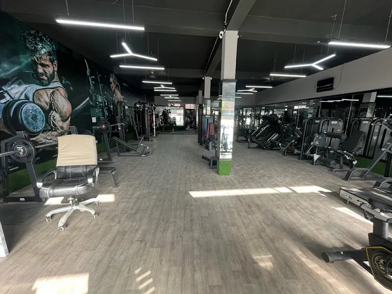Iron culture gym