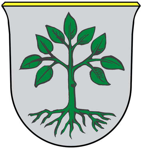 EV Großarl