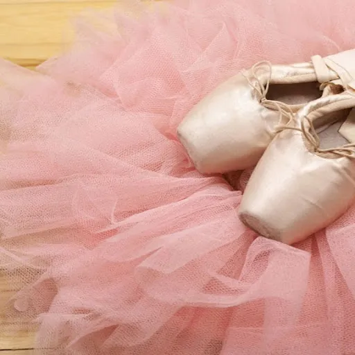 Pam Freedman School of Dance