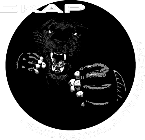 Academia de Artes Marciales Mixtas EKAP