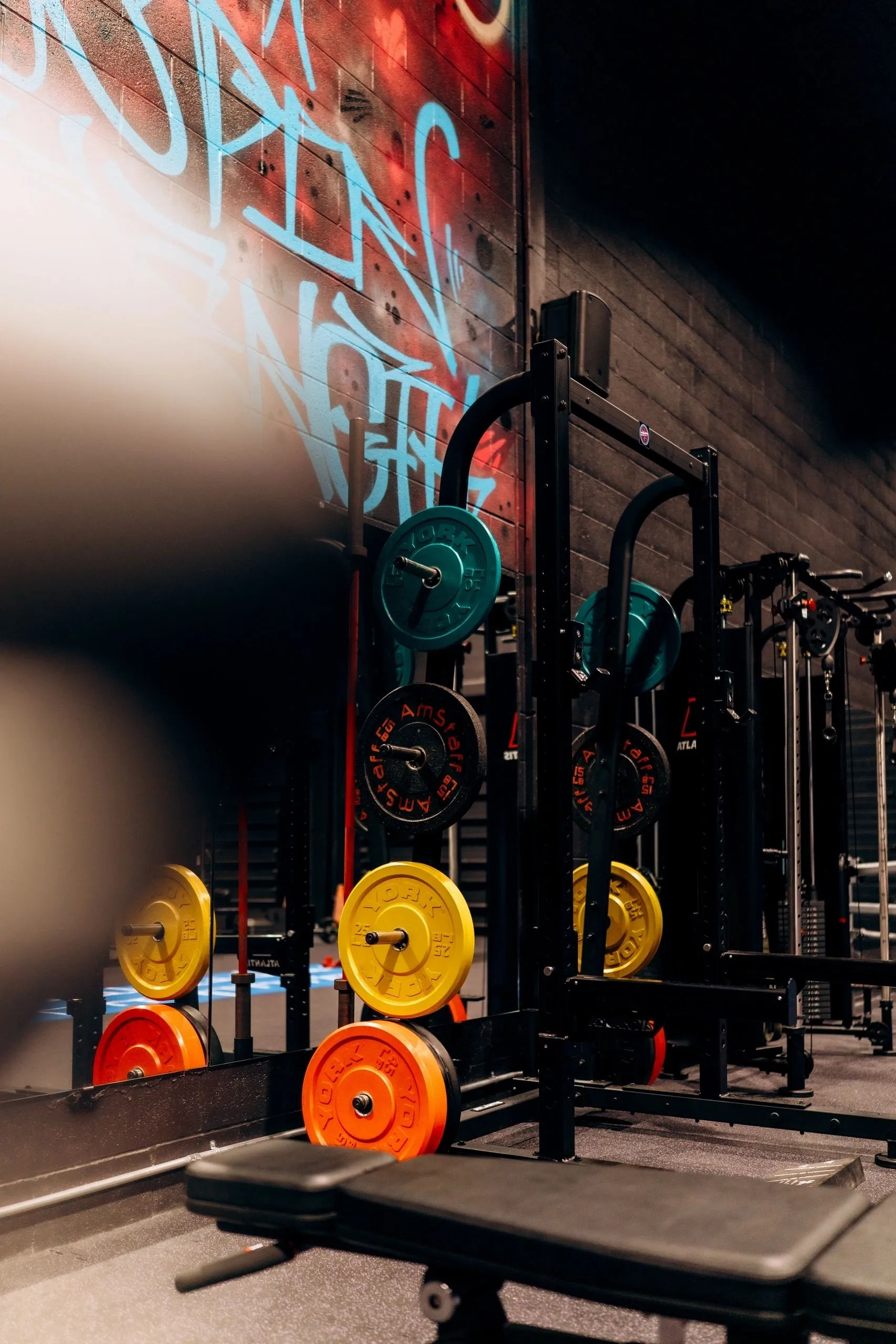 Spin & Strength Co.