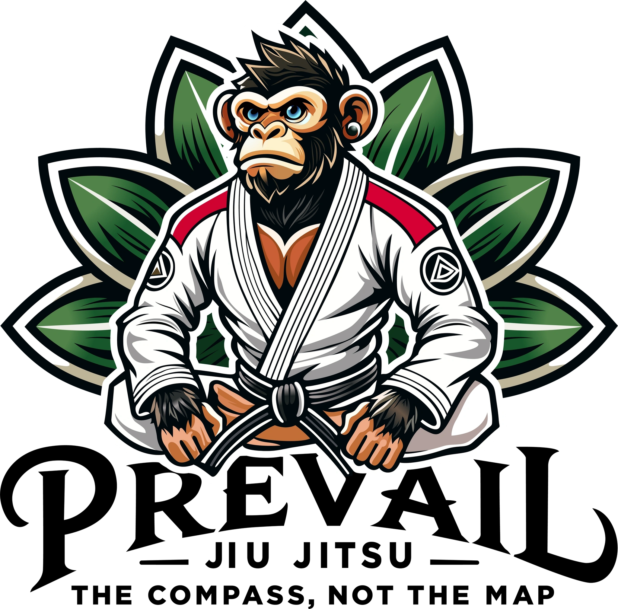 Prevail Jiu Jitsu
