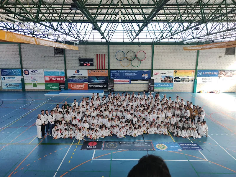 Club de Handbol Sant Esteve