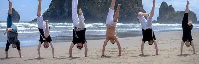 Body of Brazil Capoeira