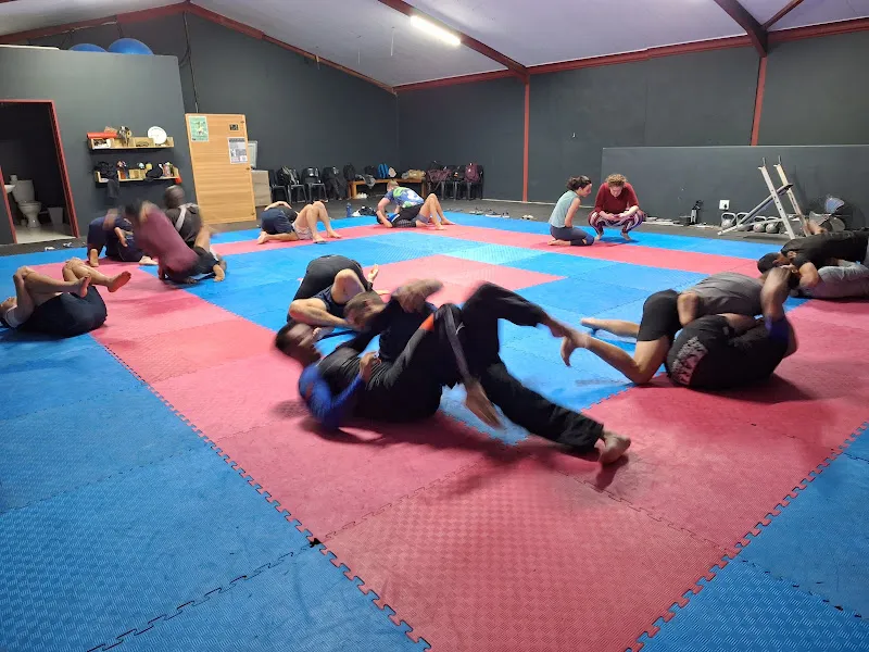Brothers in Grappling (Renzo Gracie)