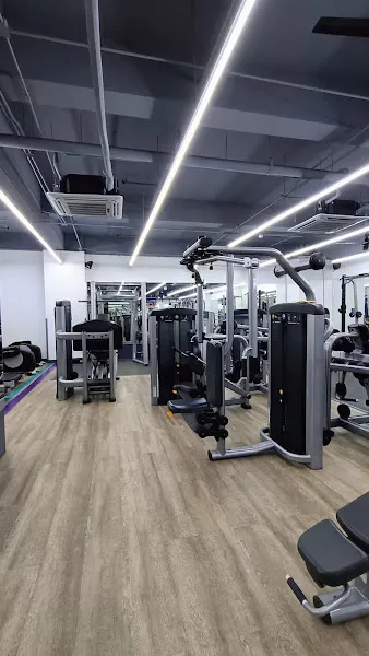 Anytime Fitness Pamplona Tress