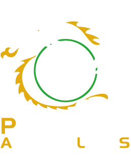 PALS Dragonboat Team 2