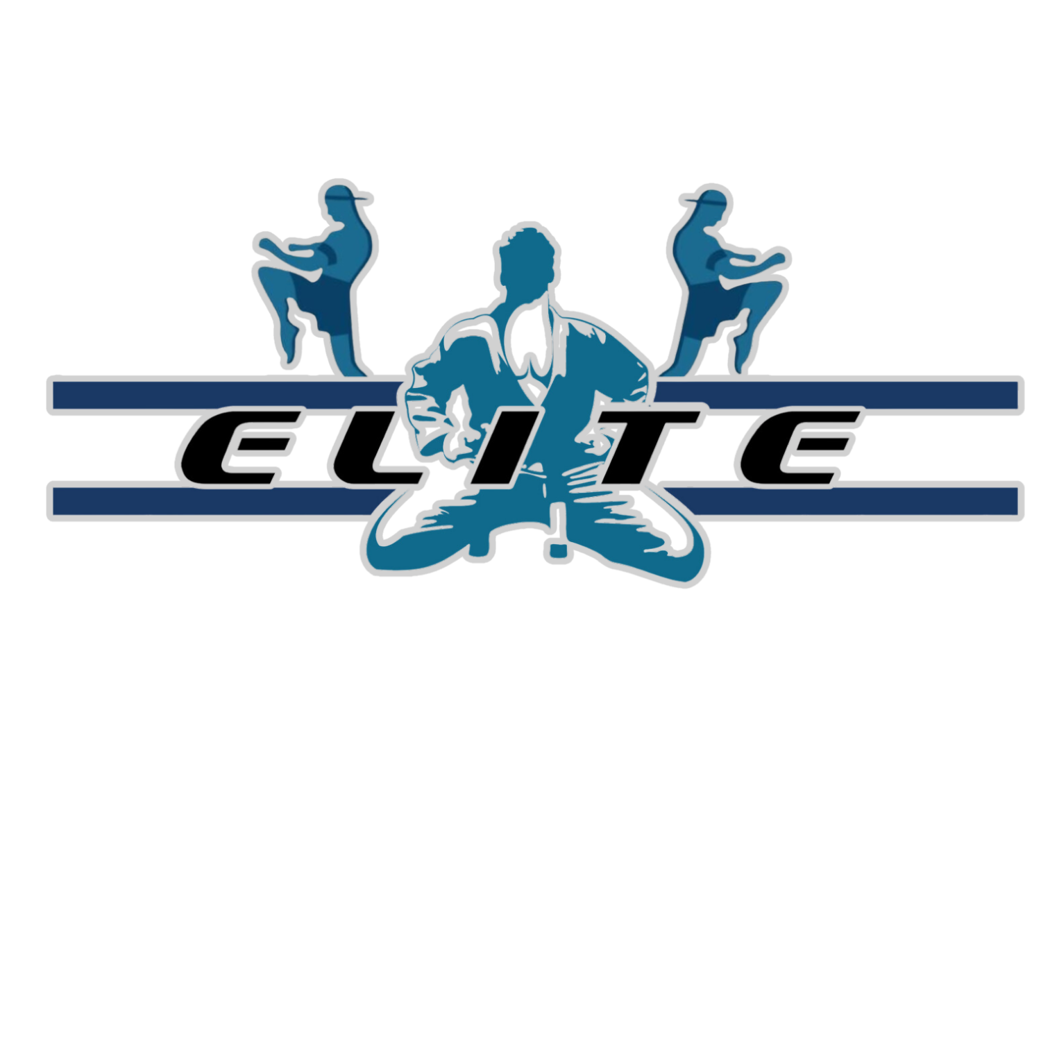 ELITE MARTIAL ARTS Sydney
