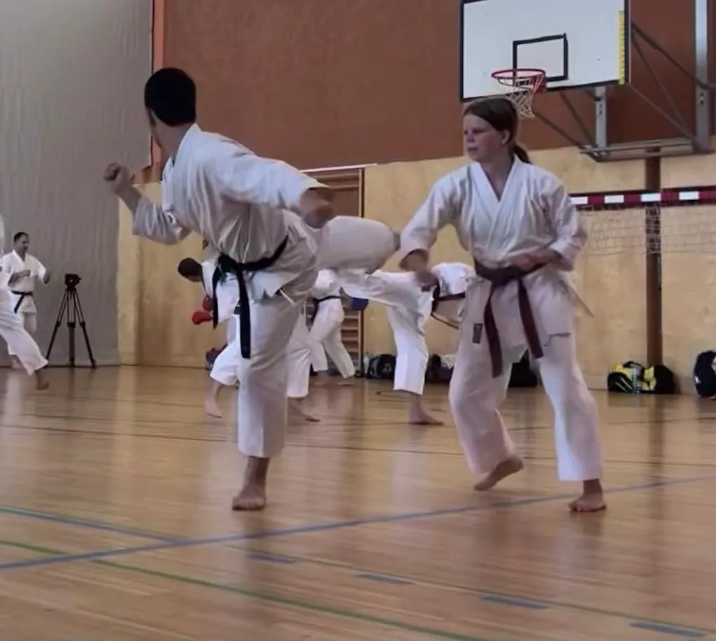Bushido Villach - Kampfkunst
