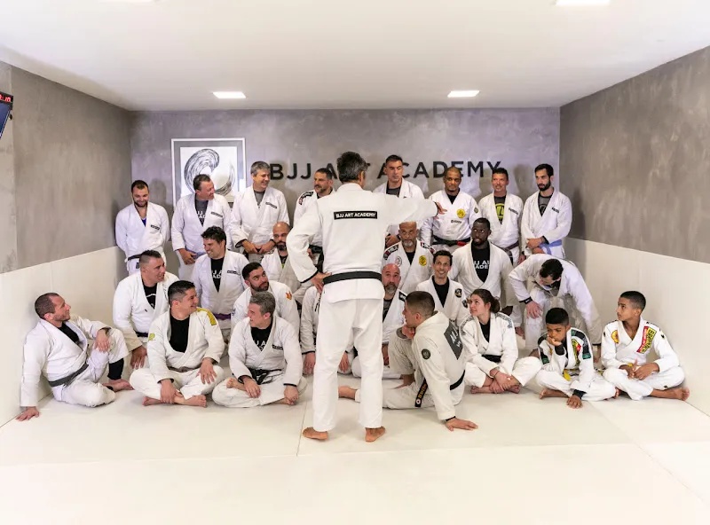 BJJ Art Academy
