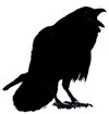 Butson Raven Studio
