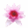 Yogaschule Tempelglück
