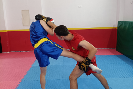 Krav Maga Defensa Personal urbana y Artes Marciales I SAN CAI LONG
