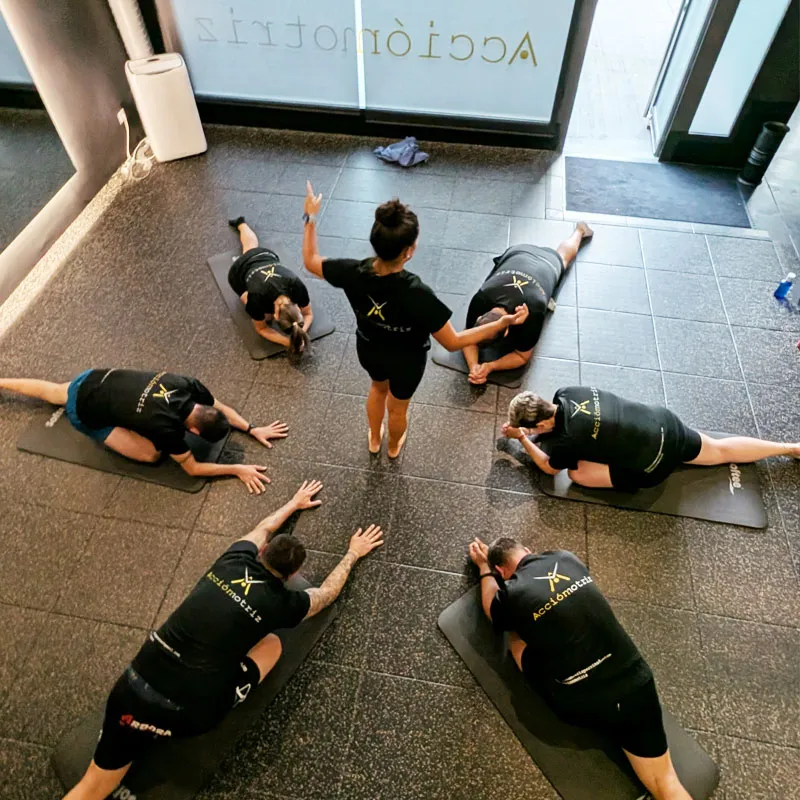 AcciónMotriz