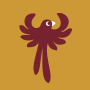 Pfadi Phoenix Chur