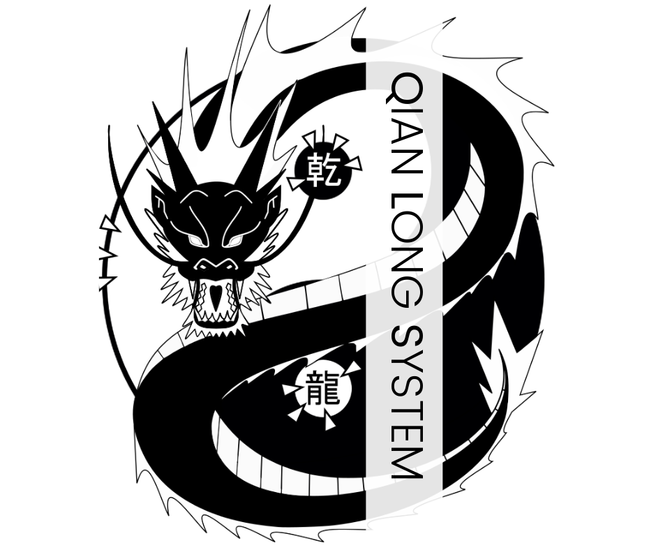 | QLS MMA | Kampfsport & Selbstverteidigung in Basel. Kung Fu, Boxing, Kickboxing, Sanda, Chin Na, Muay Thai, MMA, Grappling