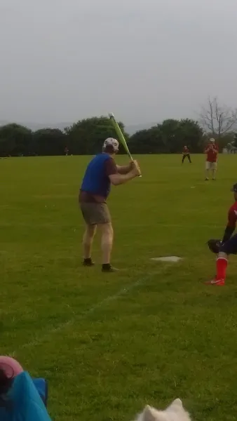 Wicklow Wolves SC