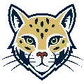 CrossFit Ocelot