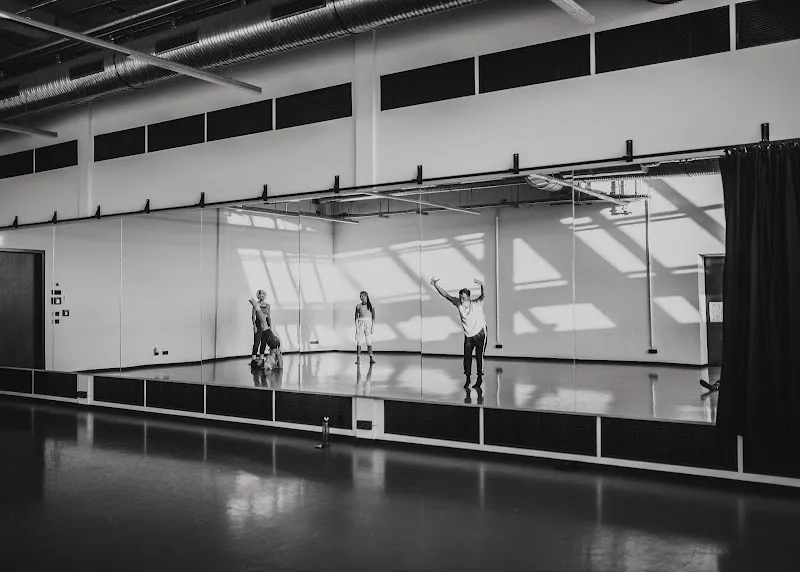 Leipziger Tanztheater e.V.