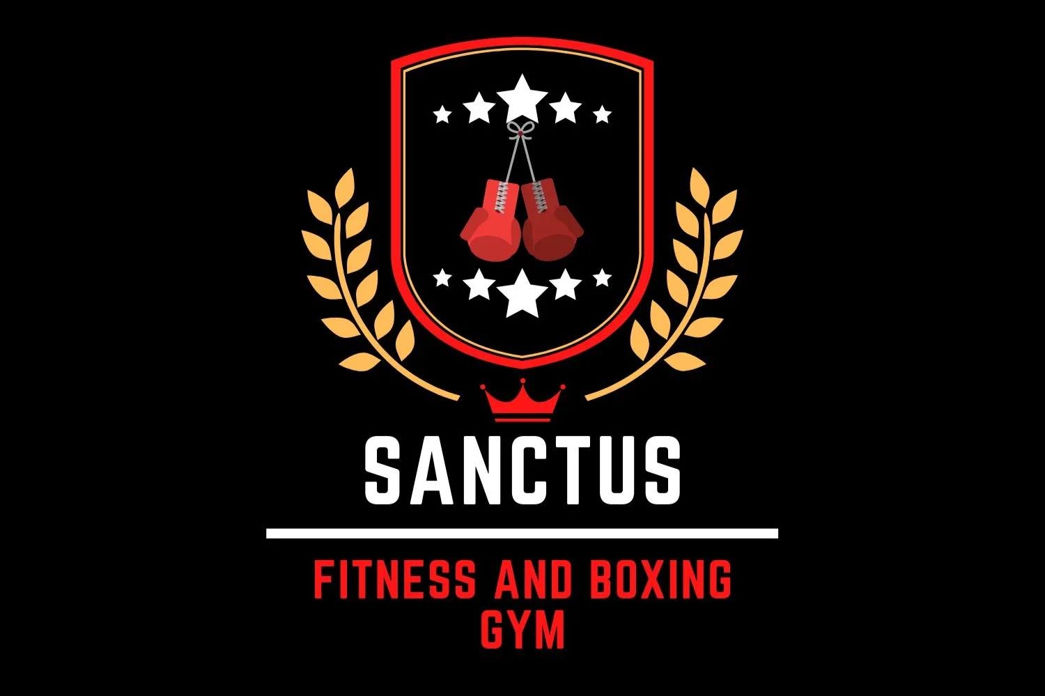 Sanctus Boxing Club | Sanctus Academy CIC