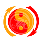 BZMA Jeet Kune Do México Kung fu Monterrey