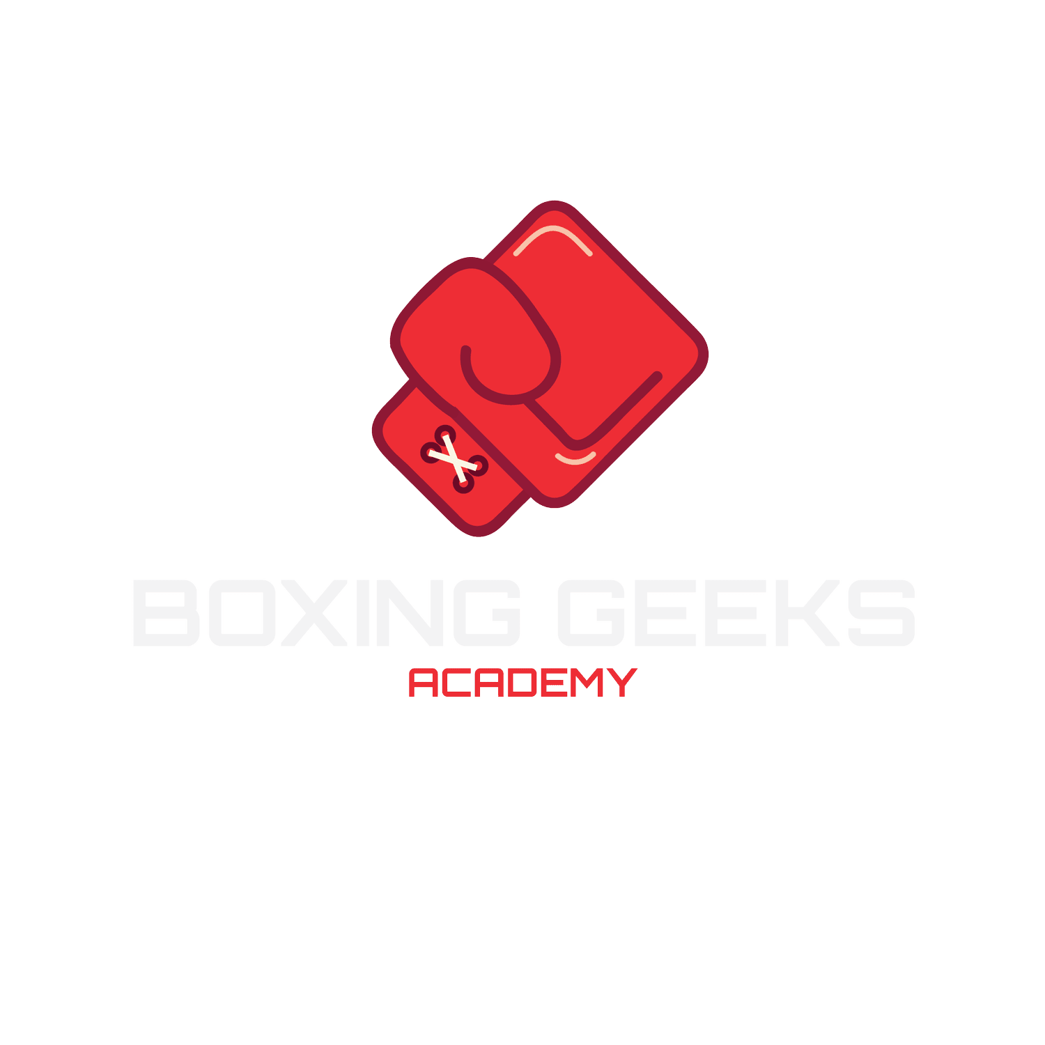 Boxing Geeks Academy