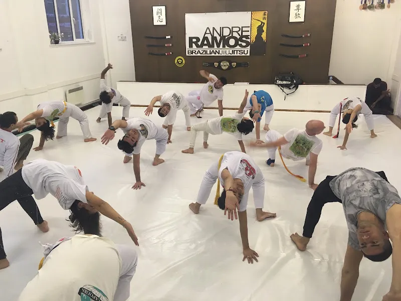 Capoeira Tatu