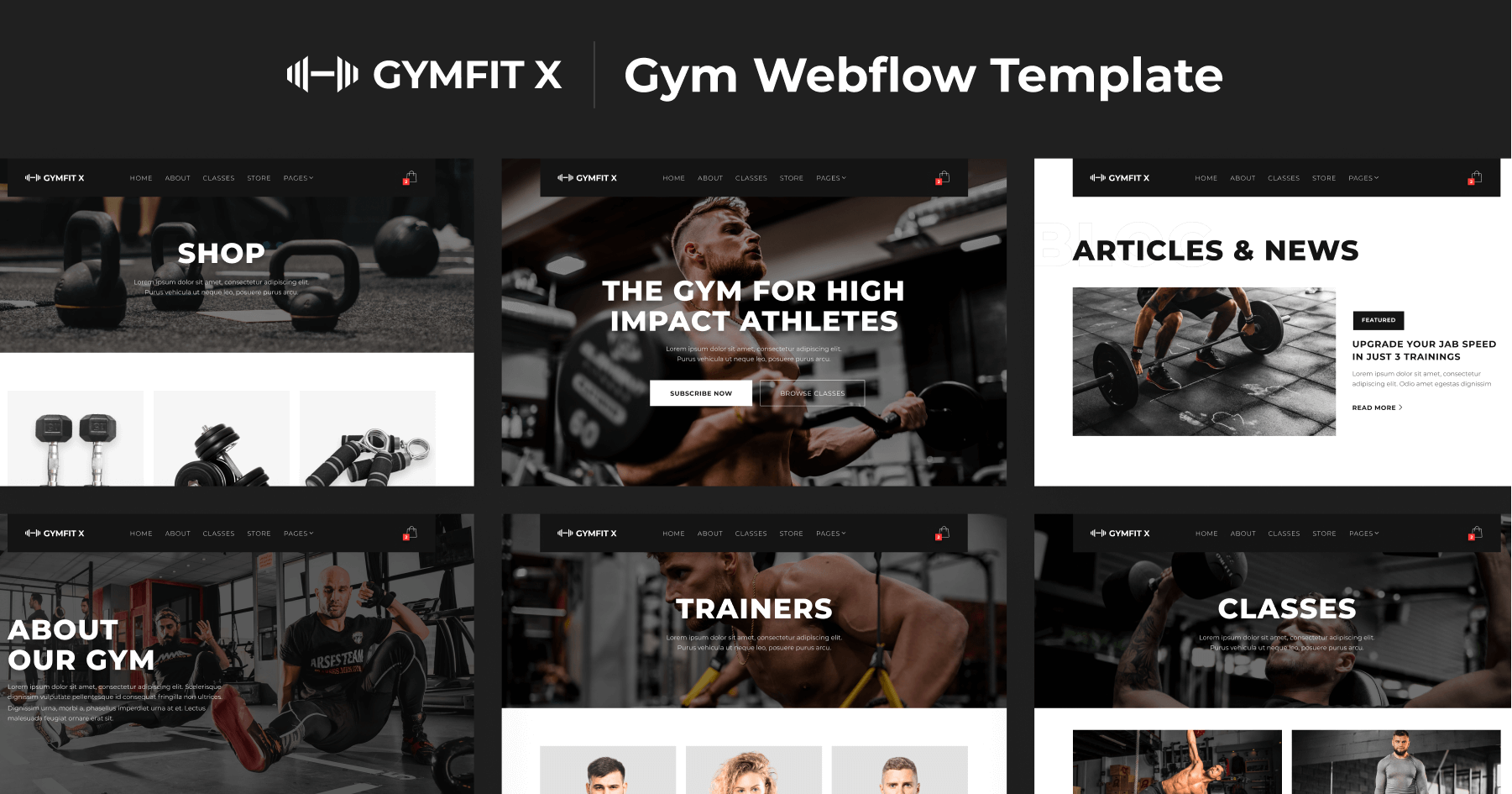 Bay Boxfit