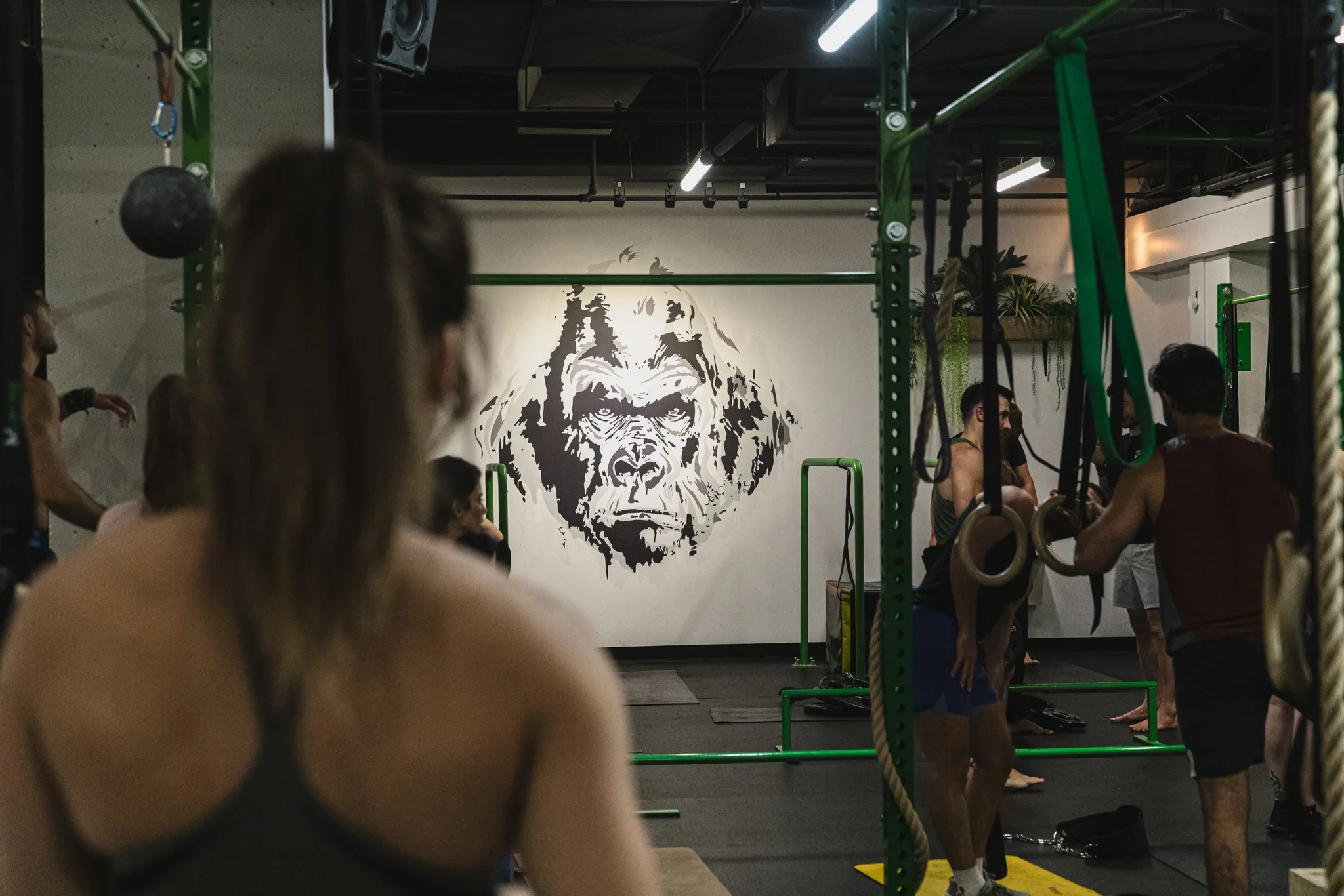 Calisthenics GYM MTL