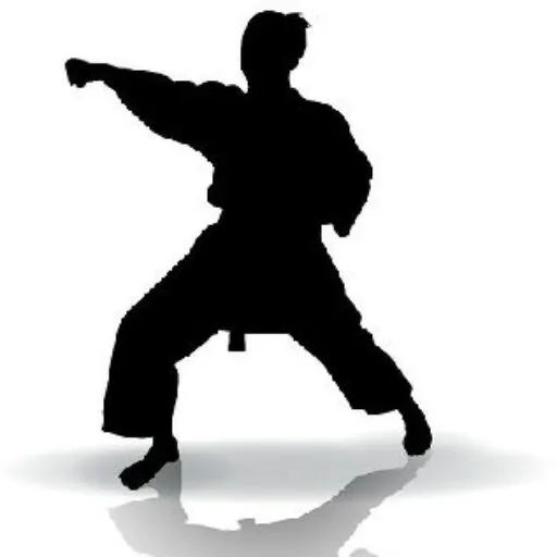 Upper Hutt Rembuden Karate