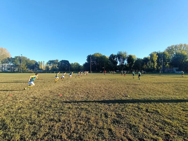 Cinghiali Rugby Cesano Boscone - Rugby Milano Sud