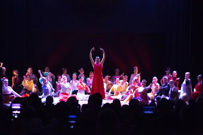 Carmen Romero Dança Flamenca