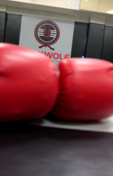 Blakwolfmma