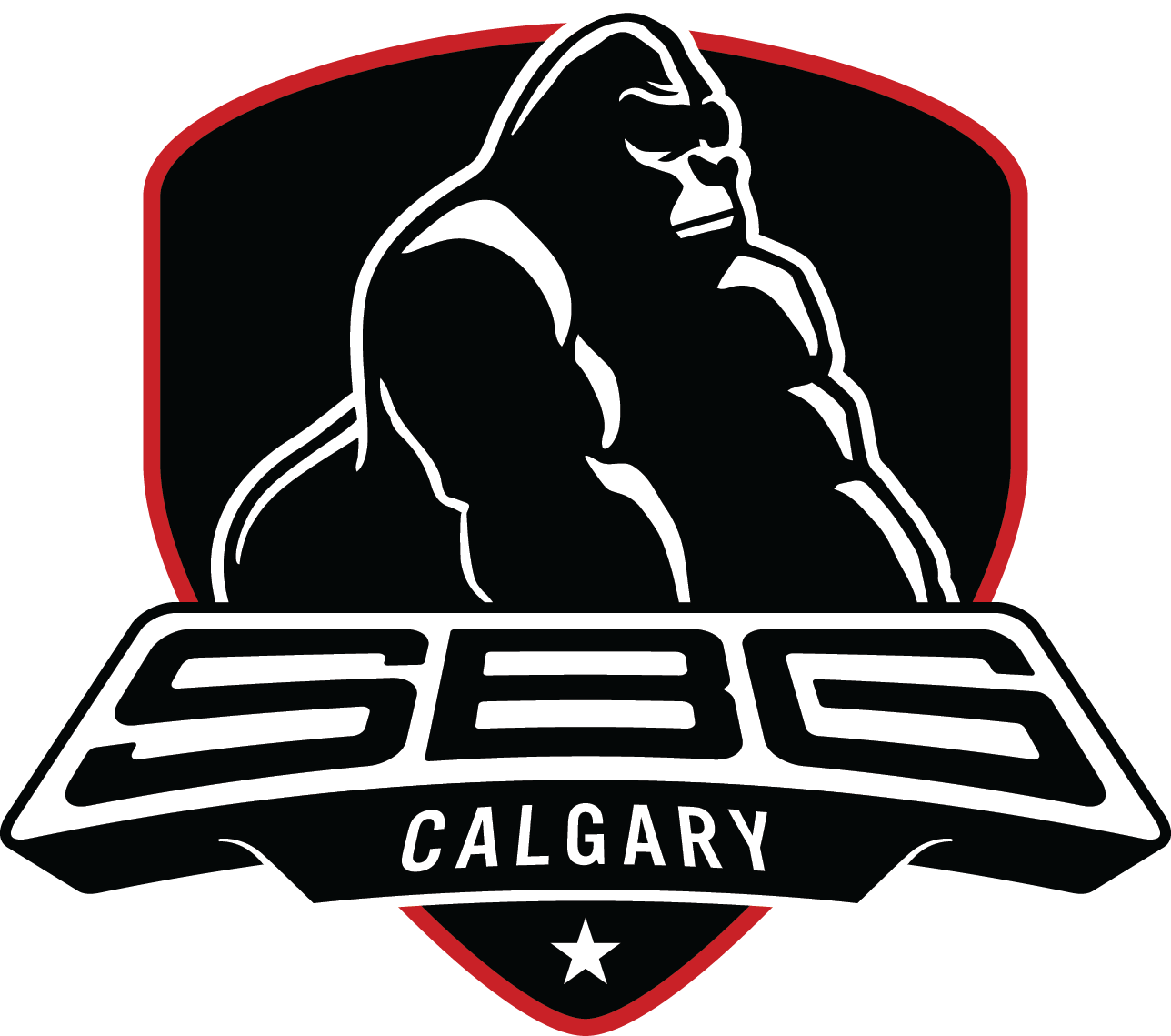 Straight Blast Gym Calgary