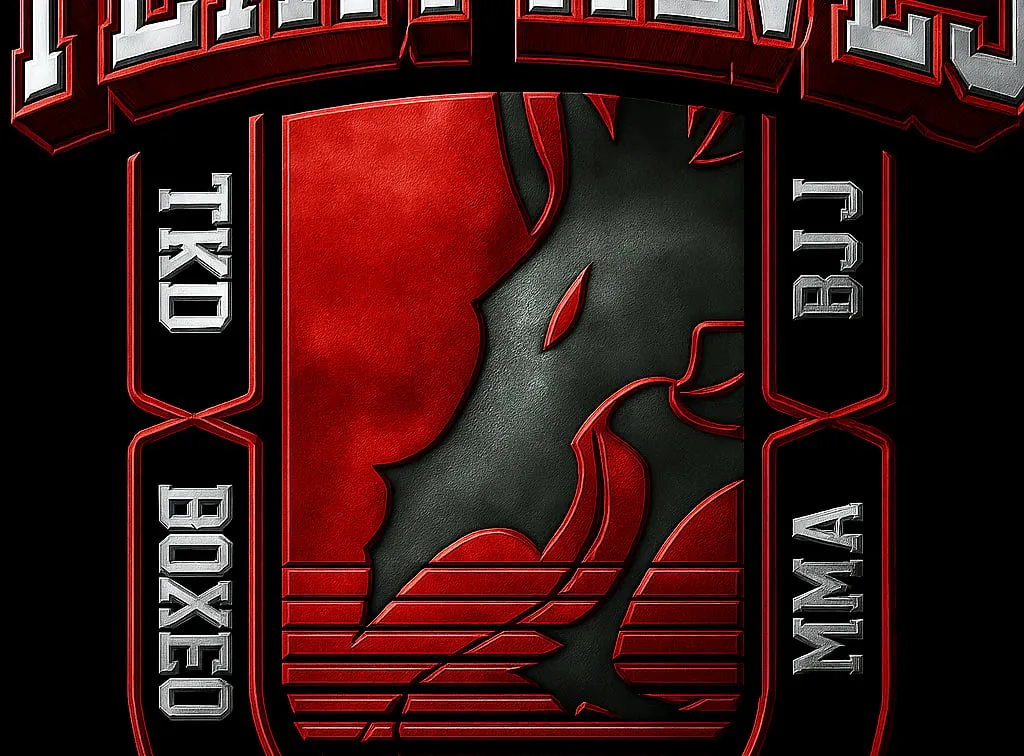 Gym Team Alves - Gimnasio boxeo bjj kickboxing taekwondo en Zaragoza