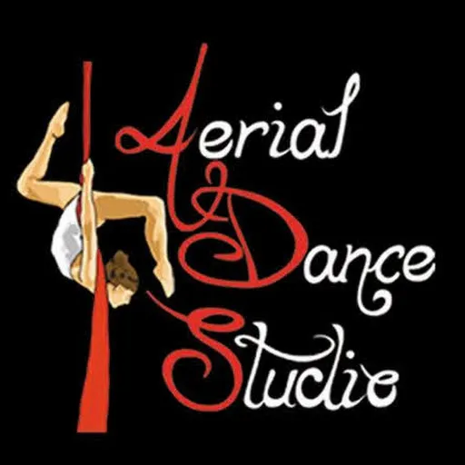 Aerial Dance Studio - Zwycięzców