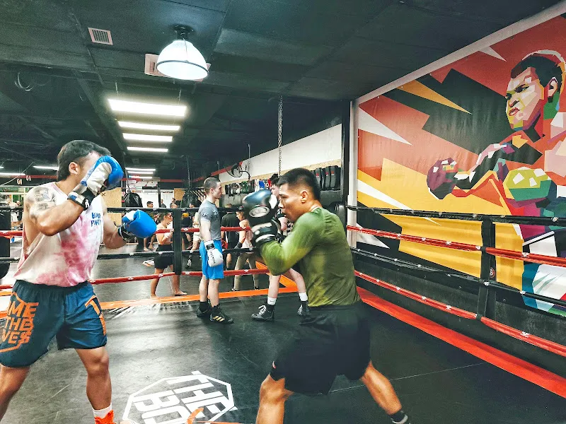 The Box Fit and Fight Club
