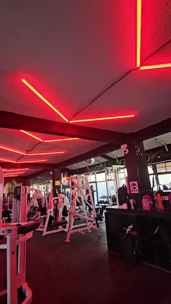 Gym elite San mateo