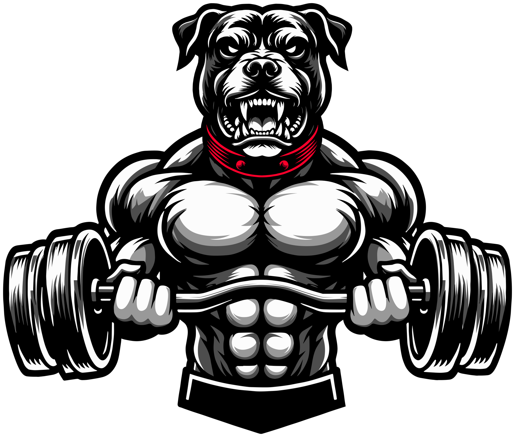 House Of Brutal Power Building Gym