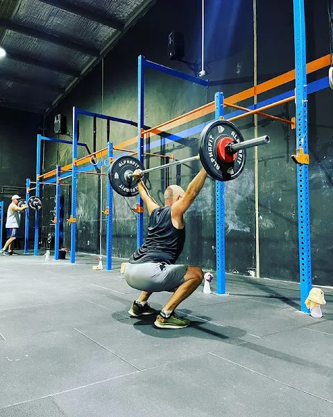 Carve Fit