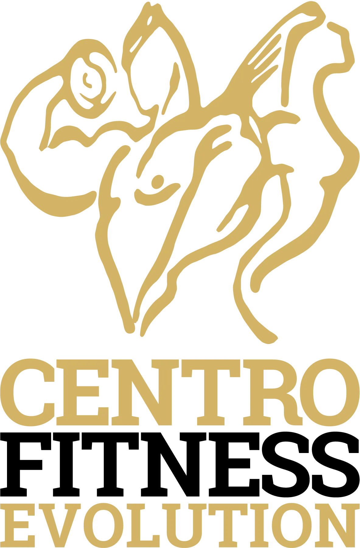 Centro Fitness Evolution