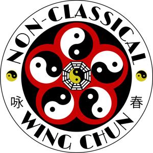 Master Seyfi Wing Chun